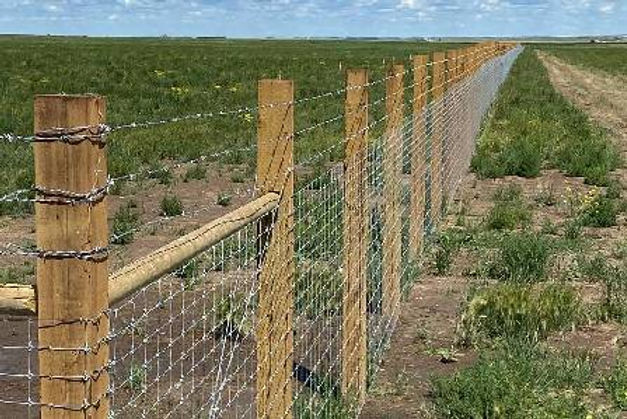 Agricultural Fencing fence