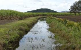 Floodplain & Drainage Survey survey
